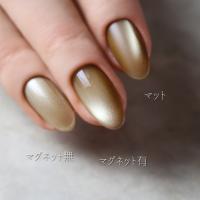rieugel カラージェル 2.5g N47 ガチマス