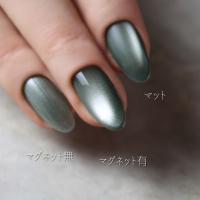 rieugel カラージェル 2.5g N48 ガチベルデ