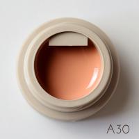 rieugel カラージェル 2.5g A30 ミューテッドコーラル