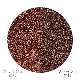 ageha オプティカラー 10g FG-009