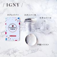 IGNY 2wayスタンパー スクレイパー付き IG071