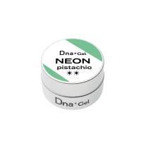 Dna Gel カラージェル 2.5g ネオンピスタチオ