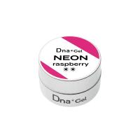 Dna Gel カラージェル 2.5g ネオンラズベリー