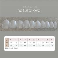 NAIL TIP LABO ネイルチップラボ ナチュラルオーバル セット
