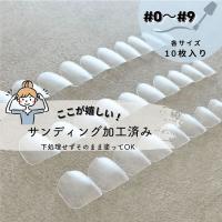 NAIL TIP LABO ネイルチップラボ ナチュラルショート セット