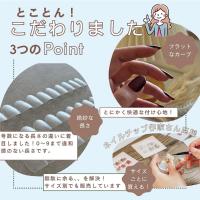 NAIL TIP LABO ネイルチップラボ ナチュラルショート セット