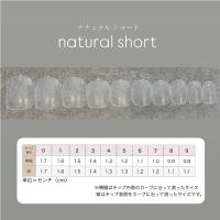 NAIL TIP LABO ネイルチップラボ ナチュラルショート #04