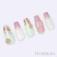 ツメキラ ジャルダン シャンパンピンク ジェル専用 SG-EFK-018