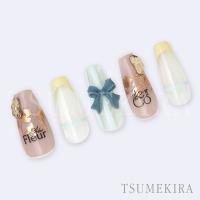 ツメキラ ジャルダン シャンパンピンク ジェル専用 SG-EFK-018