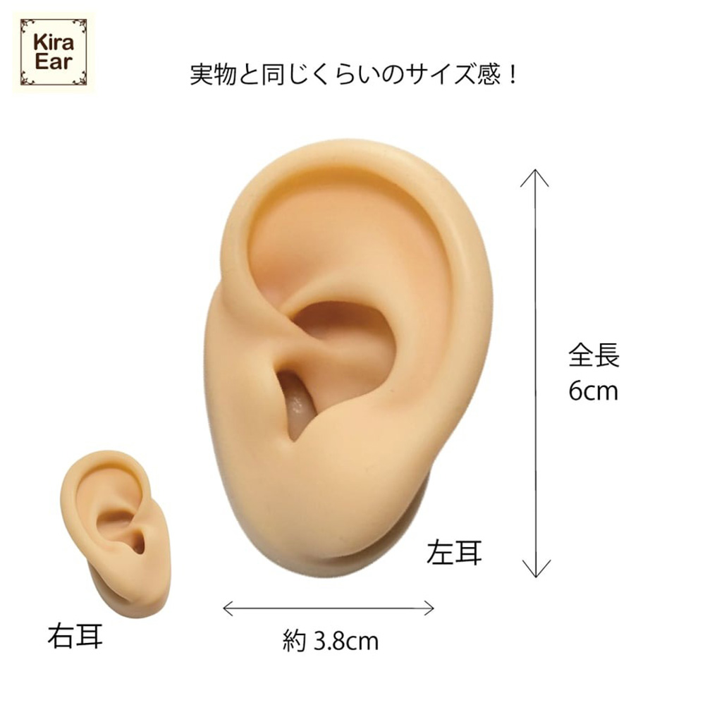 KiraEar シリコン製両耳模型 EA-EAR-MOD