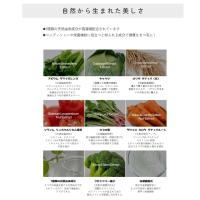 LASH TREE BLACK ラッシュツリーブラック 2in1コーティング 6本セット