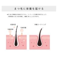 LASH TREE BLACK ラッシュツリーブラック 2in1コーティング 12本セット