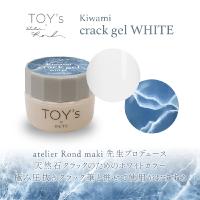 ●TOY's×INITY 極みクラックジェルホワイト 5g T-KCGW