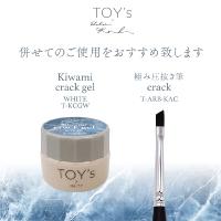 ●TOY's×INITY 極みクラックジェルホワイト 5g T-KCGW