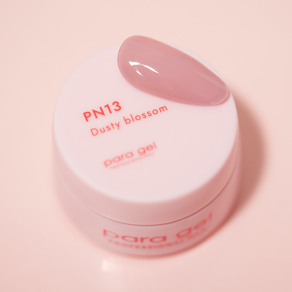 para gel ピンクラインカラージェル 3g PN13 ダスティブロッサム