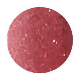 WSPT JAPAN トルタ ナイトフラッシュ 5ml P004 TNB1204