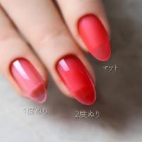 rieugel カラージェル 2.5g AC02 ベリーシロップ