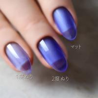 rieugel カラージェル 2.5g AC10 バタフライピー