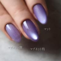 rieugel tocar カラージェル 2.5g Mg034 グレープジェリー