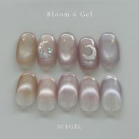 ICE GEL ジェントロン スターギャラクシージェル ブルームシックス 3g×5色セット
