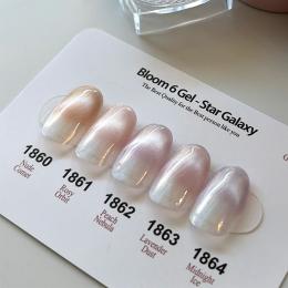 ICE GEL ジェントロン スターギャラクシージェル ブルームシックス 3g×5色セット