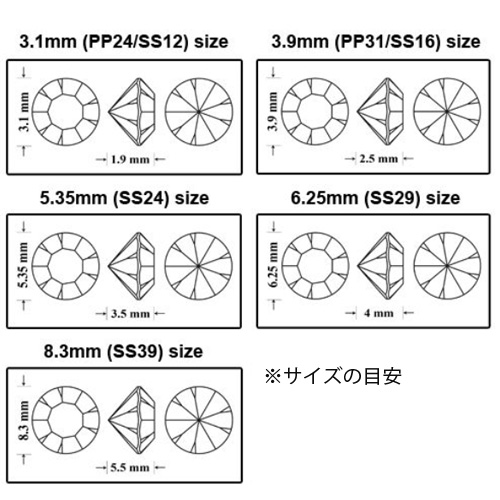 プレシオサ Vカット(チャトン MAXIMA) SS24 モンタナ 20P