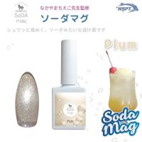 WSPT JAPAN なかやまちえこ先生監修 ソーダマグ 7ml プラムソーダ GE61153