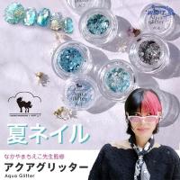 WSPT JAPAN なかやまちえこ先生監修 アクアグリッター 4色セット PD51111