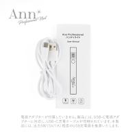 Ann Professional ハンディライト #8500