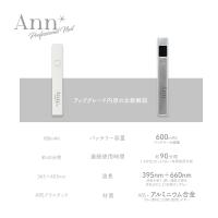 Ann Professional ハンディライト #8500