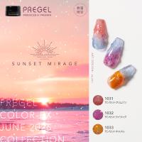 PREGEL カラーEX 3g PG-CE1033 サンセットキャメル