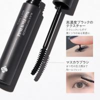 BL ノワールフィックスアンドホールド 9.5ml 610B0031