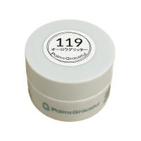 Palms Graceful カラージェル 3g 119 オーロラグリッター