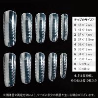 PREGEL プリチップ フラットフィット PCP-FLTFT