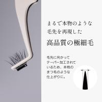 ■ミスアイドール 1秒まつエク ボリュームタイプ ブラウン 10-12mm RL4-V10BR