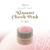 TOY's×INITY 極みチークピンク T-KC