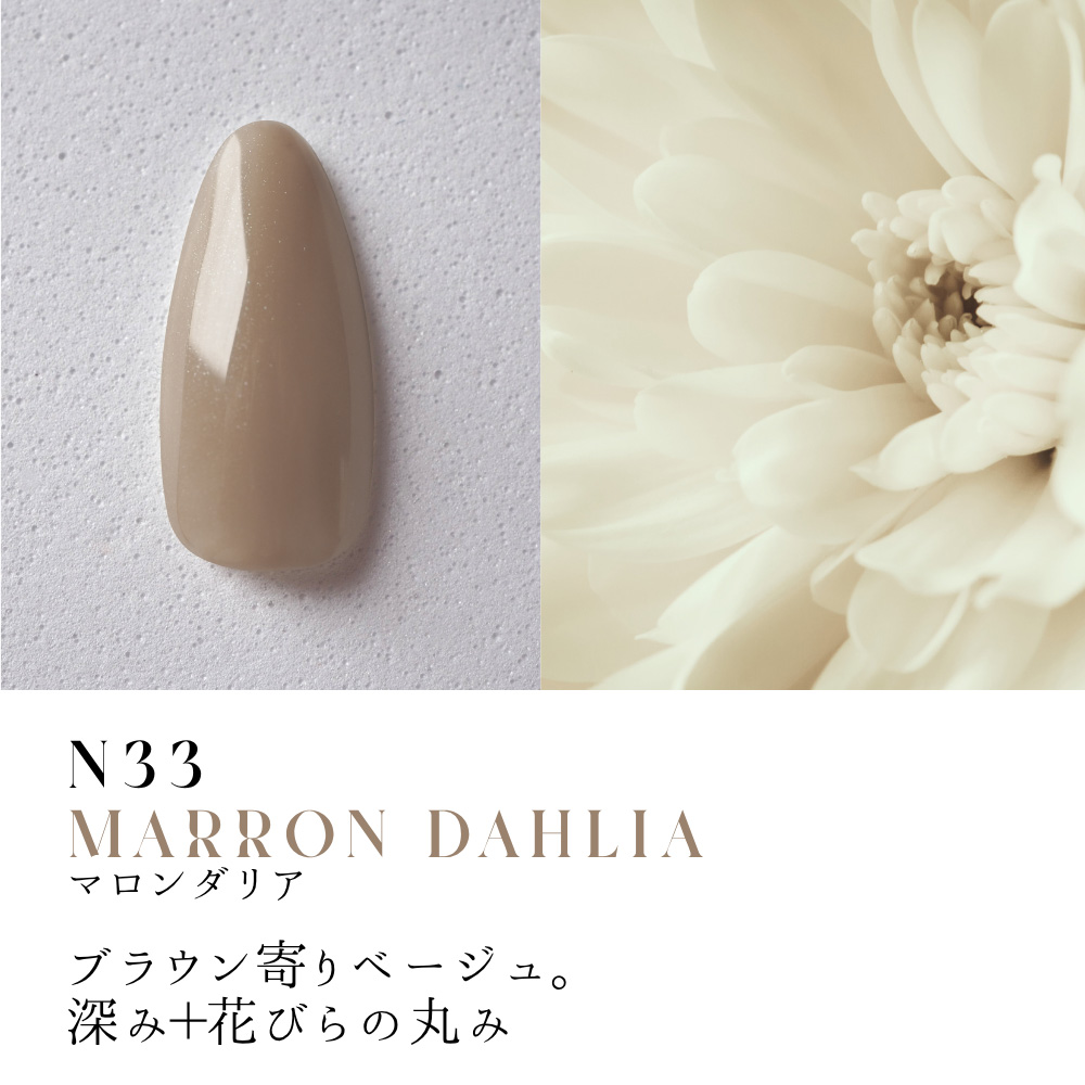 ●Dna Gel カラージェル 2.5g N33 マロンダリア