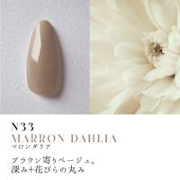 ●Dna Gel カラージェル 2.5g N33 マロンダリア