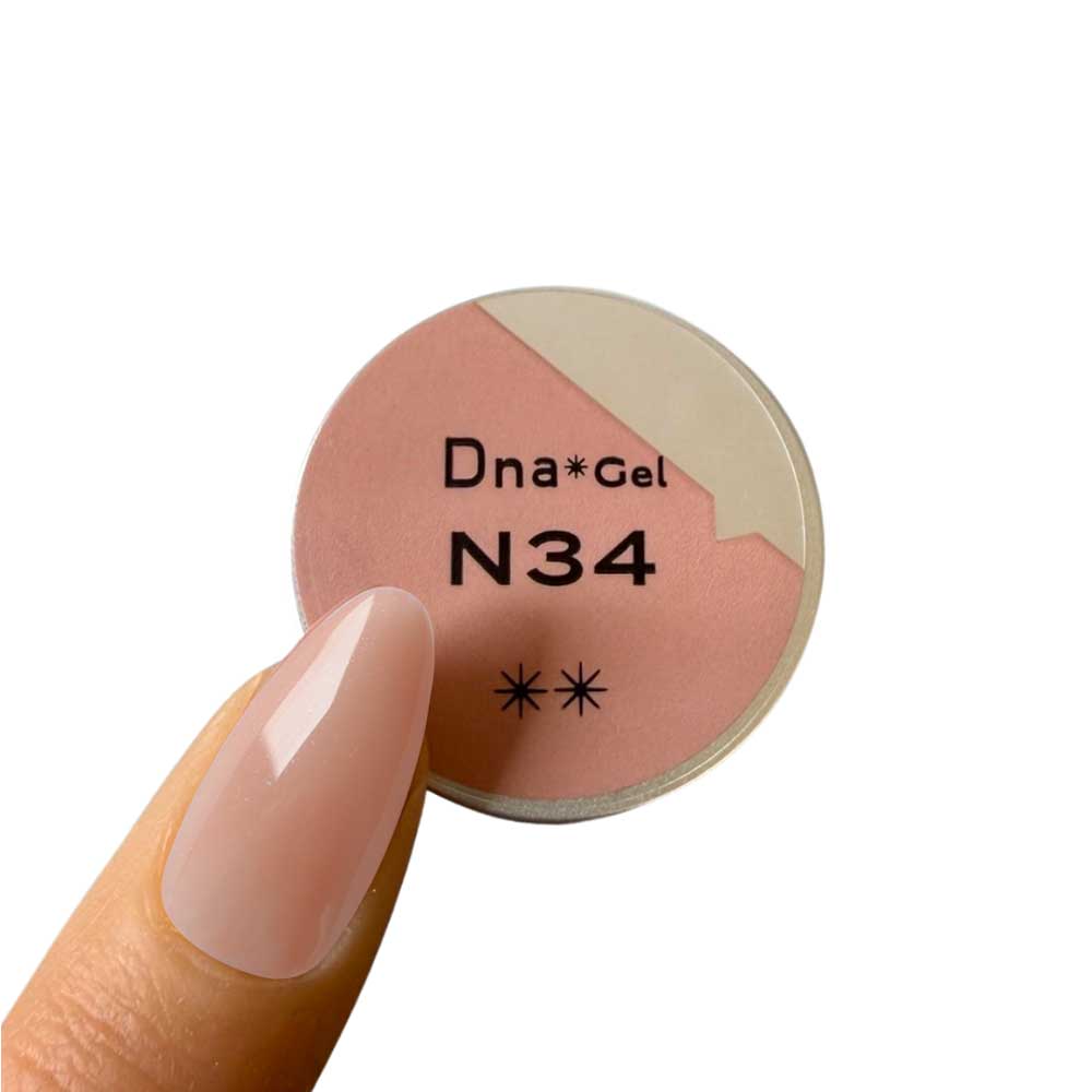 ●Dna Gel カラージェル 2.5g N34 ピーチカメリア