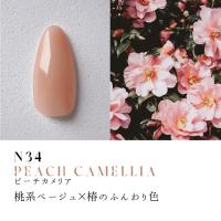 ●Dna Gel カラージェル 2.5g N34 ピーチカメリア