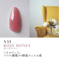 ●Dna Gel カラージェル 2.5g N35 ローズハニー