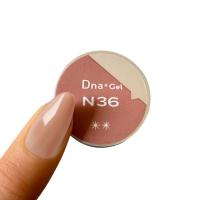 ●Dna Gel カラージェル 2.5g N36 コーラル・テ・ローズ