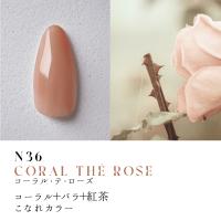 ●Dna Gel カラージェル 2.5g N36 コーラル・テ・ローズ