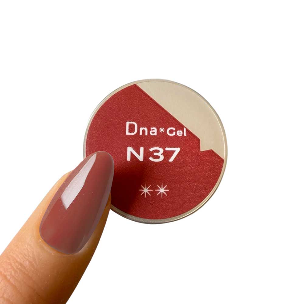 ●Dna Gel カラージェル 2.5g N37 アプリコットブルーム