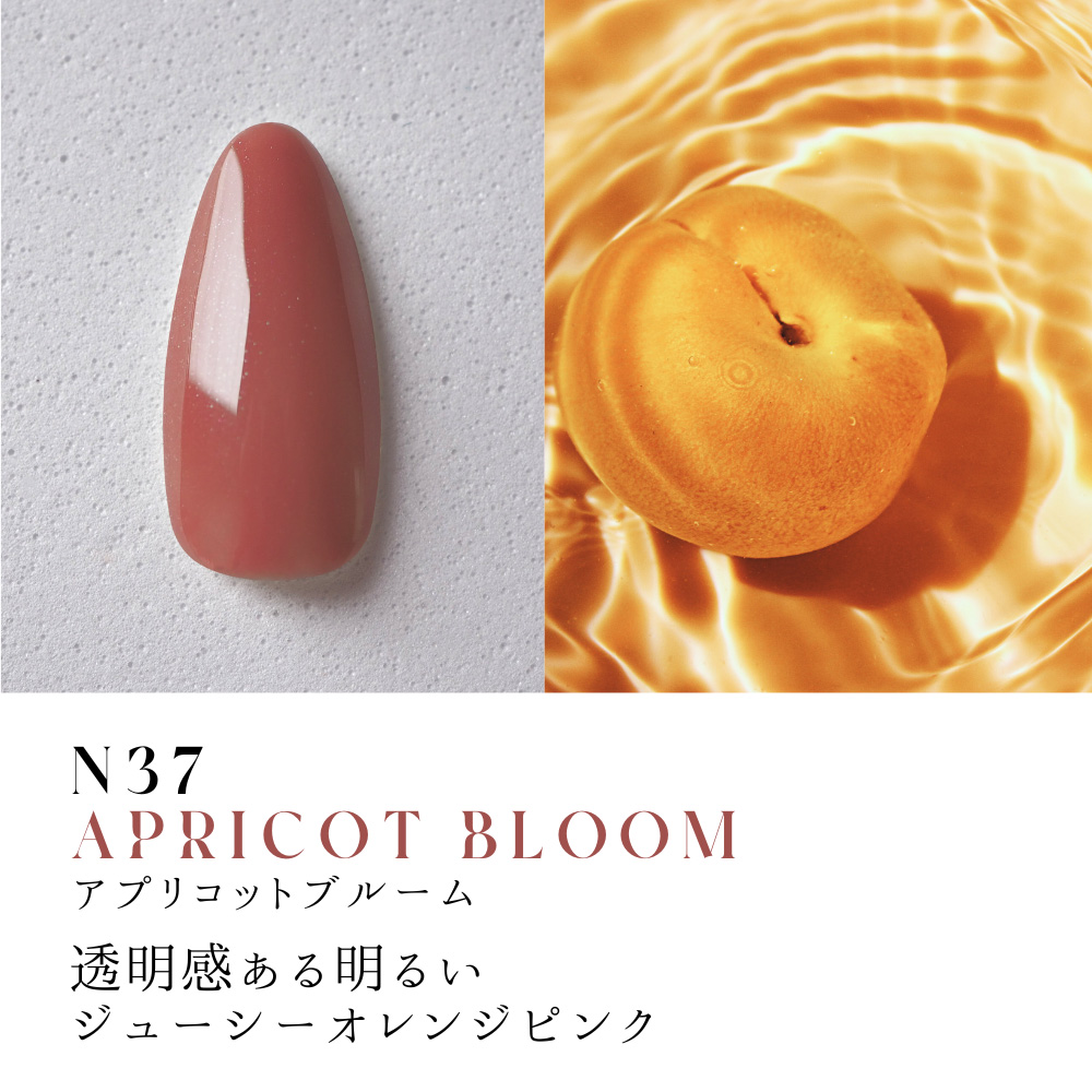 ●Dna Gel カラージェル 2.5g N37 アプリコットブルーム