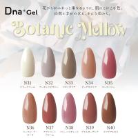 ●Dna Gel カラージェル 2.5g N37 アプリコットブルーム