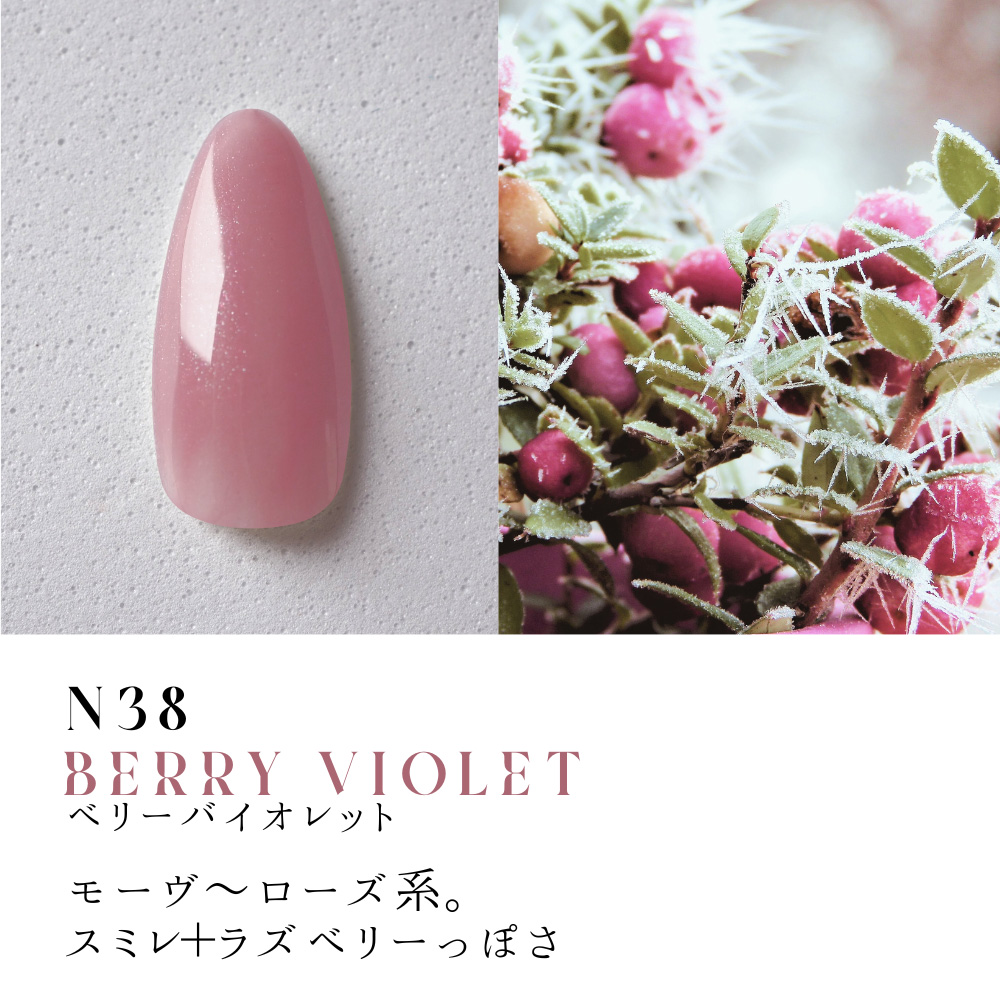 ●Dna Gel カラージェル 2.5g N38 ベリーバイオレット