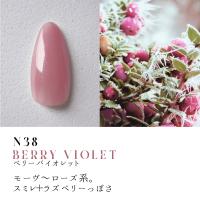 ●Dna Gel カラージェル 2.5g N38 ベリーバイオレット