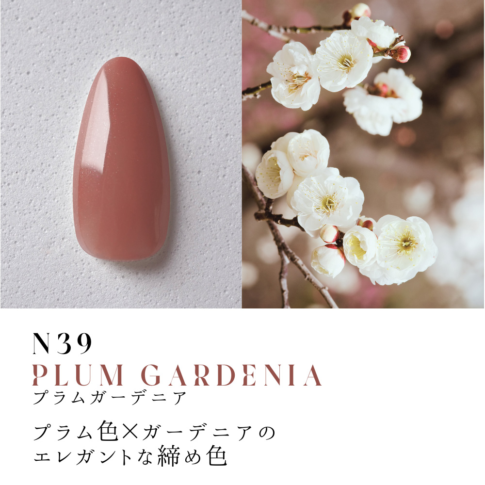 ●Dna Gel カラージェル 2.5g N39 プラムガーデニア