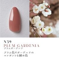 ●Dna Gel カラージェル 2.5g N39 プラムガーデニア
